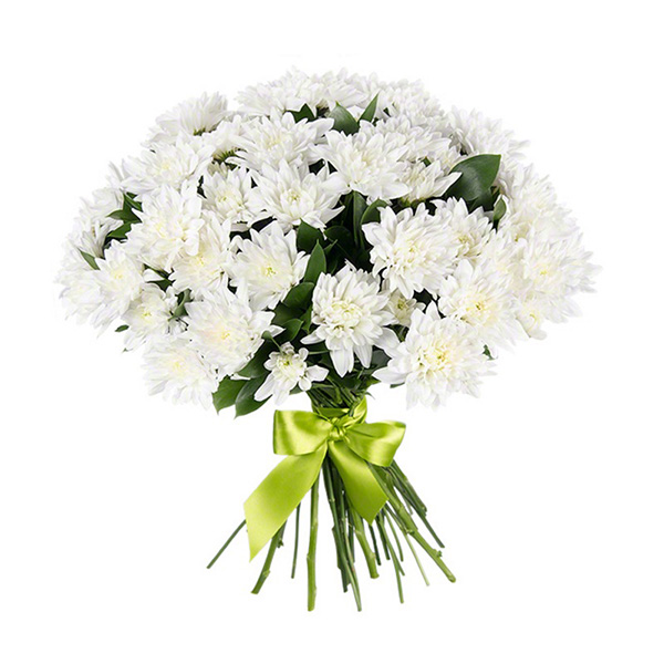 Букет из 15 белых хризантем (крупноцвет)
